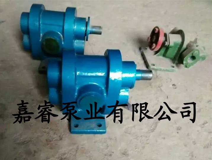 2CY-3/2.5系列齒輪油泵 不銹鋼齒輪油泵 嘉睿泵業(yè)   2CY齒輪油泵