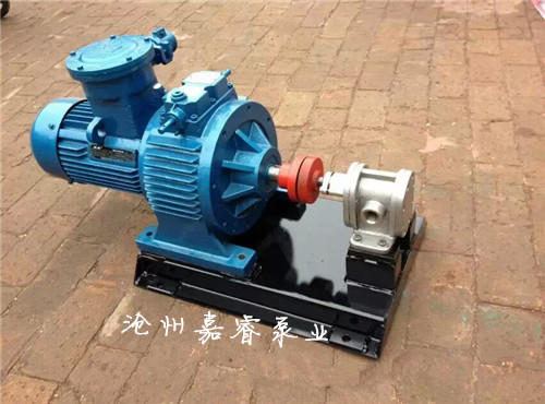 2CY-3/2.5系列齒輪油泵 不銹鋼齒輪油泵 嘉睿泵業(yè)   2CY齒輪油泵