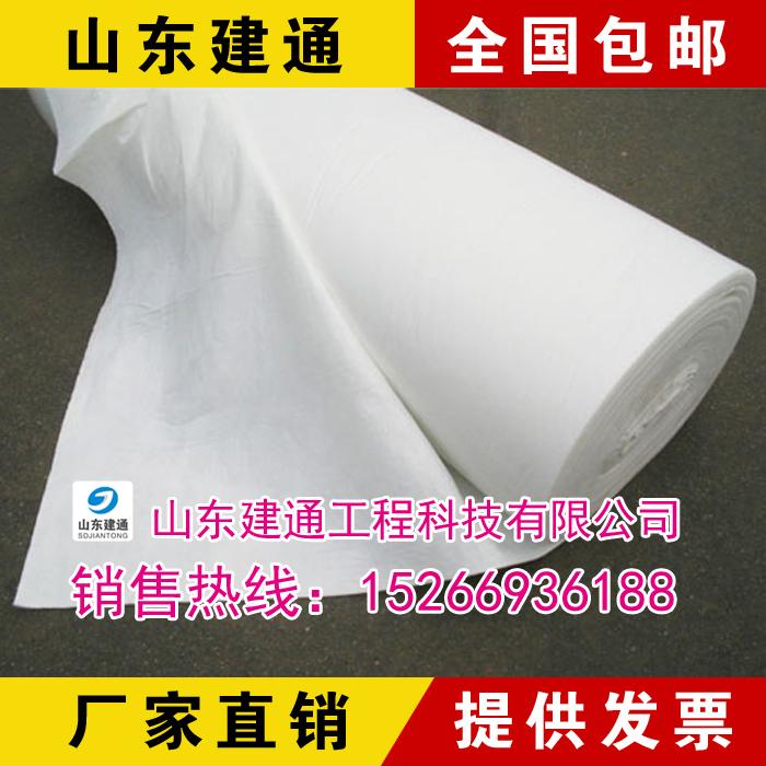 土工布多少錢(qián)一米 15266936188 土工材料廠家