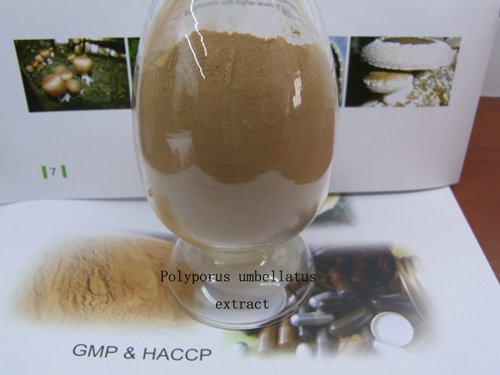 方格*豬苓提取物