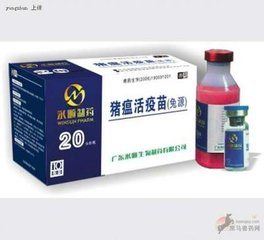 疫苗標(biāo)簽 疫苗標(biāo)貼