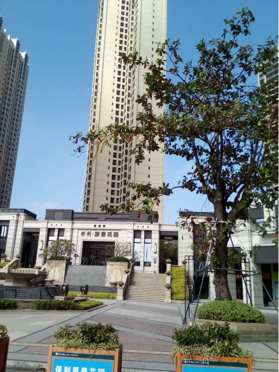 延慶除甲醛多少錢 延慶除甲醛哪家好 延慶除甲醛聯(lián)系電話 延慶除甲醛怎么收費 延慶除甲醛價格 延慶除甲醛報價