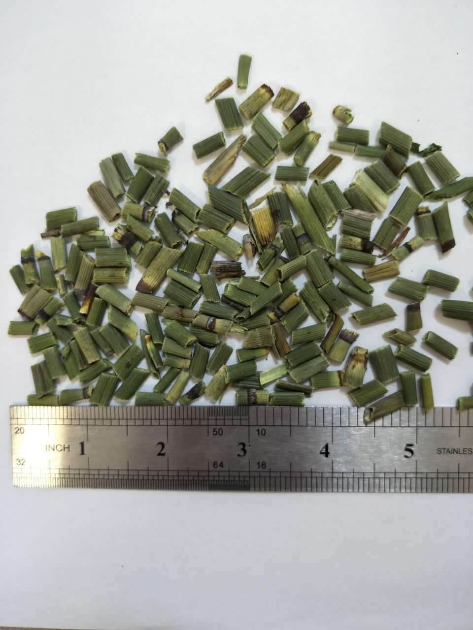 毫州市烏賊、毫州市烏賊供應(yīng)商、毫州市烏賊廠家