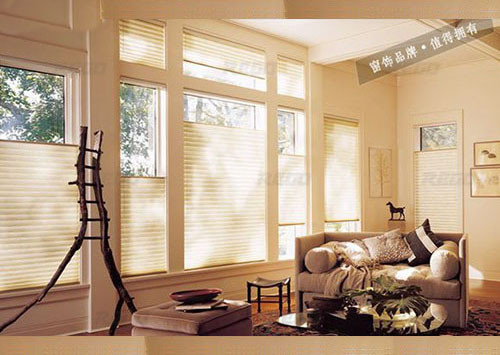 供應(yīng)南京銳谷任意位蜂巢簾中空玻璃