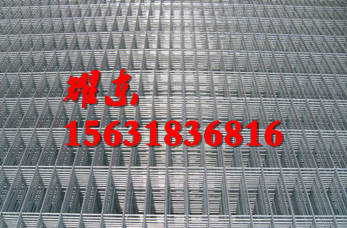 耀東供應廣東電焊網/不銹鋼電焊網片批發(fā)/電焊網公司
