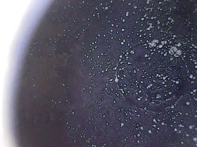 環(huán)保節(jié)能減排器漢蘭達節(jié)油器 北京大興節(jié)油器三威迪棒廠家直銷