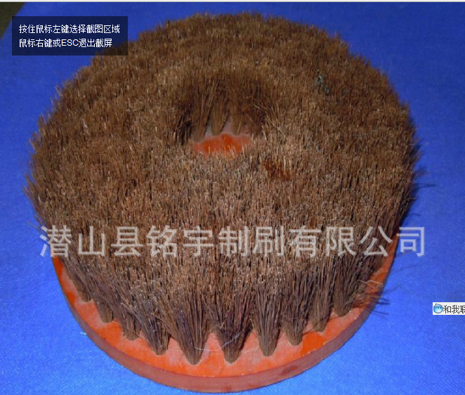 供應(yīng)異型毛刷//圓盤刷工具刷//工業(yè)磨具刷//拋光除銹毛刷 圓盤毛刷