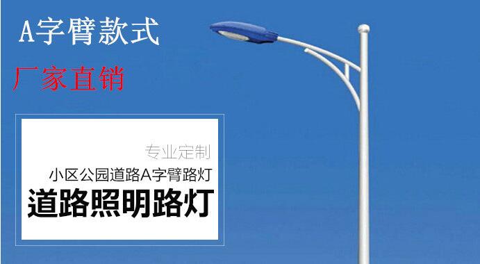 江蘇弘光照明生產(chǎn)10米道路燈中桿燈戶(hù)外防水路燈