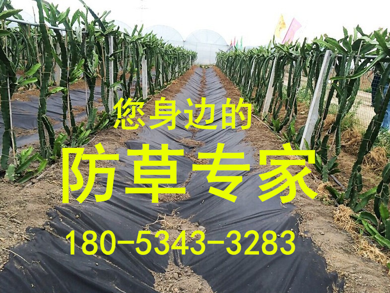 園藝地布 防草布* 防草*