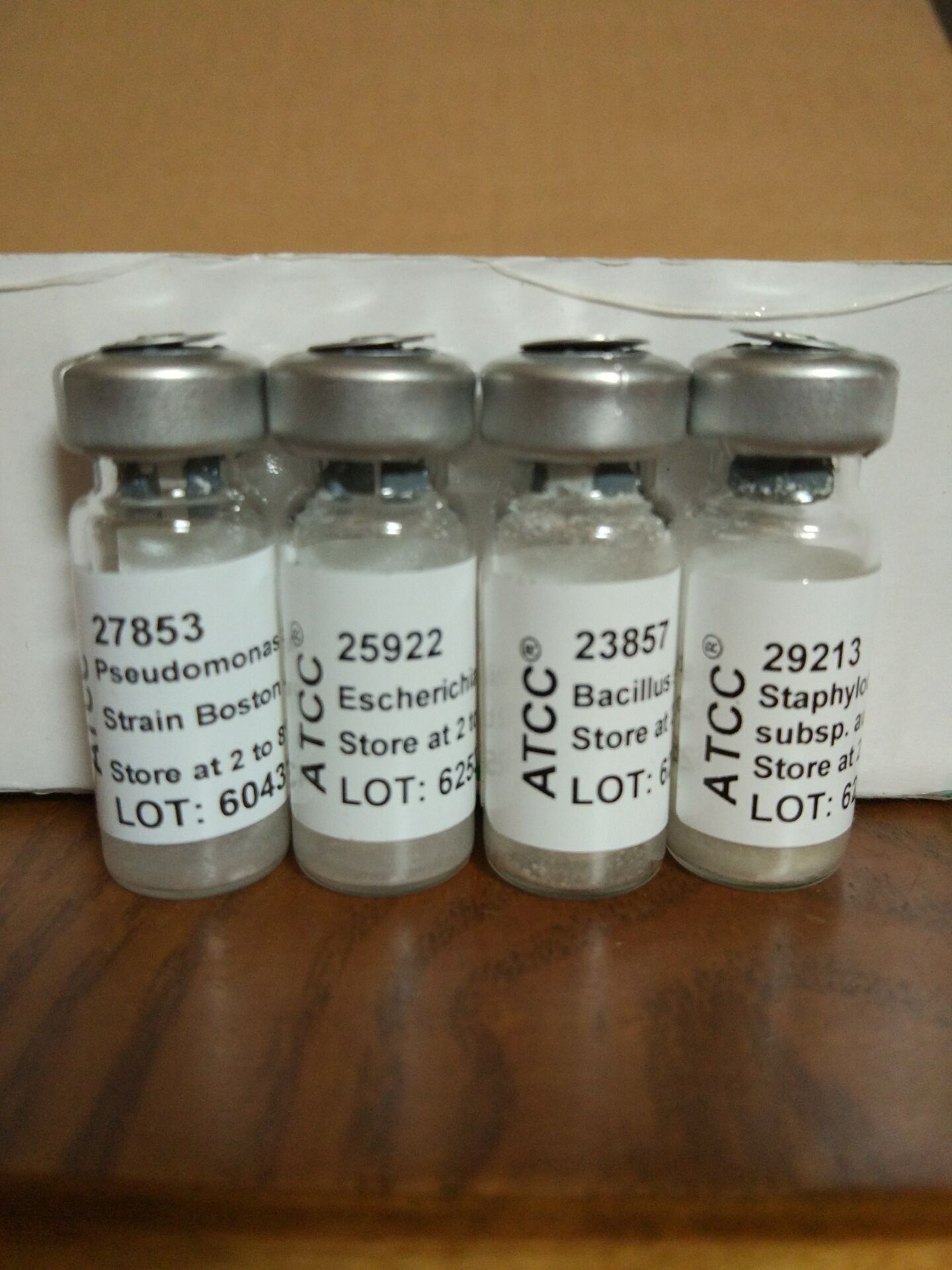 谷氨酸棒狀桿菌 雷根斯堡約克菌