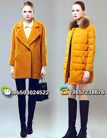 帕蒂秀2017秋冬新款羽絨服品牌女裝分份批發(fā)一手貨源免費(fèi)加盟