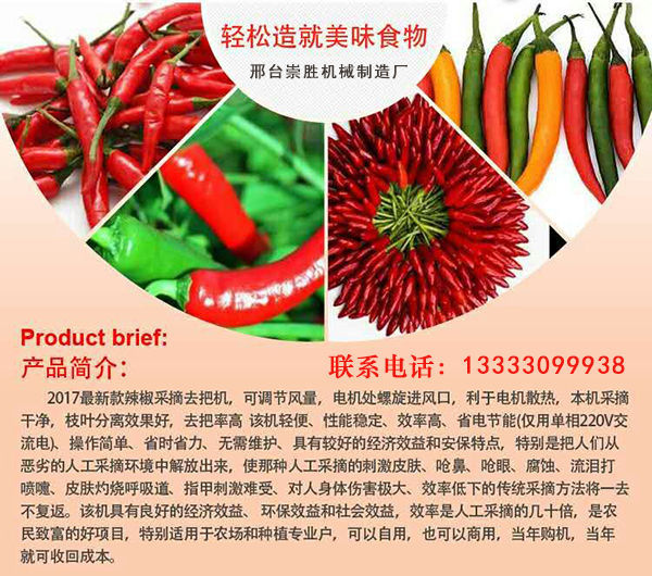 自動(dòng)辣椒收獲機(jī) 帶風(fēng)機(jī)辣椒采摘機(jī) 辣椒收獲機(jī)帶風(fēng)機(jī)辣椒采摘機(jī)干凈衛(wèi)
