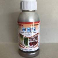 防治銷售韭菜蔥蒜類干尖爛葉*灰霉病霜霉病好*殺菌劑 韭菜蔥類鎖菌凈