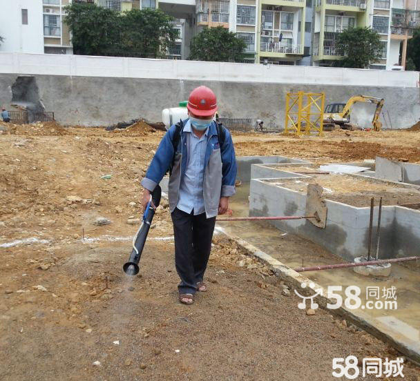 寶安工地白蟻防治聯(lián)系電話 寶安區(qū)工地白蟻防治服務(wù)公司