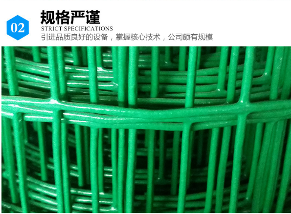 河北衡水荷蘭網(wǎng) 電焊網(wǎng)價(jià)格廠家直銷供應(yīng)商 荷蘭網(wǎng) 電焊網(wǎng)生產(chǎn)廠家