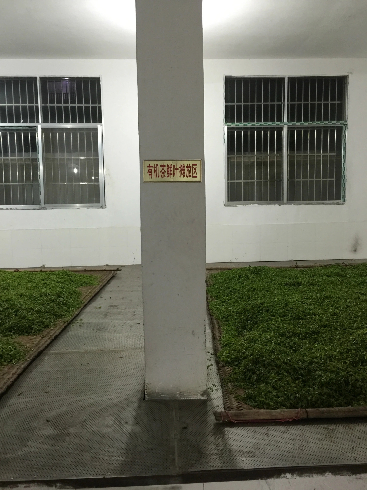 散裝新綠茶高山云霧炒青綠茶富硒茶葉湖北恩施玉露茶伍家臺(tái)貢茶