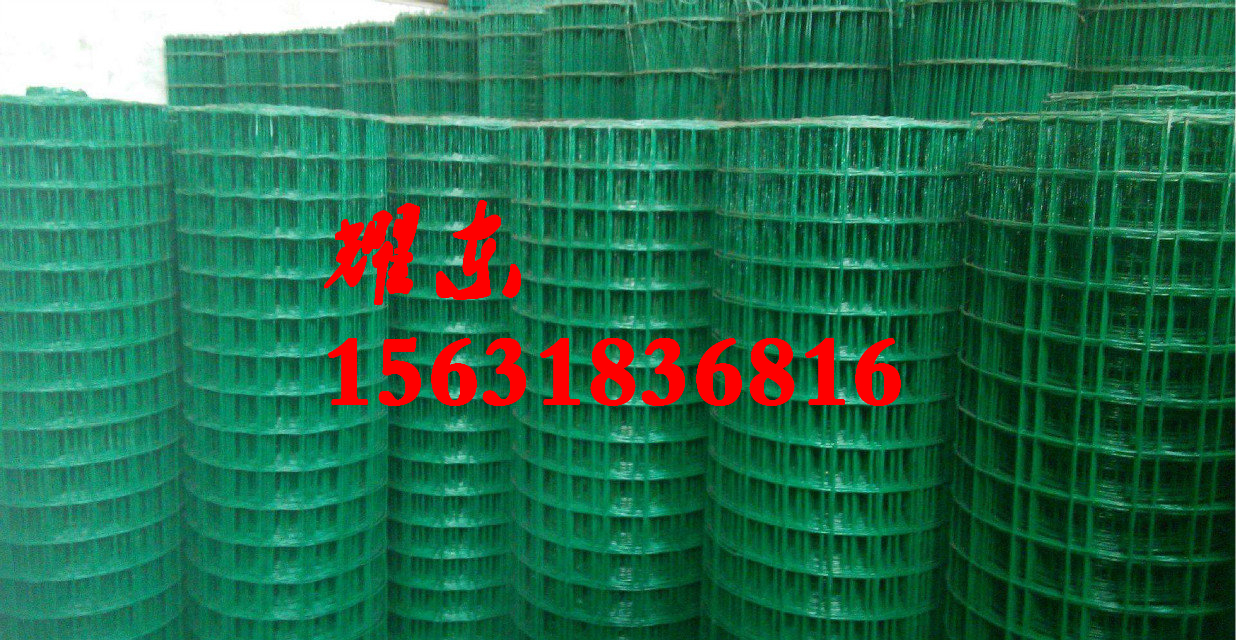 耀東供應(yīng)不銹鋼電焊網(wǎng) 浸塑電焊網(wǎng) 電焊網(wǎng)生產(chǎn)廠家 鍍鋅電焊網(wǎng)