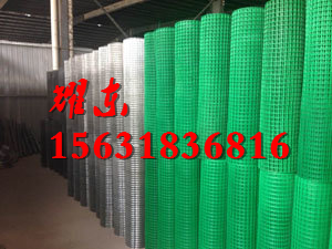 耀東熱鍍鋅電焊/四川熱鍍鋅電焊網(wǎng)/鍍鋅電焊網(wǎng)鐵絲網(wǎng)