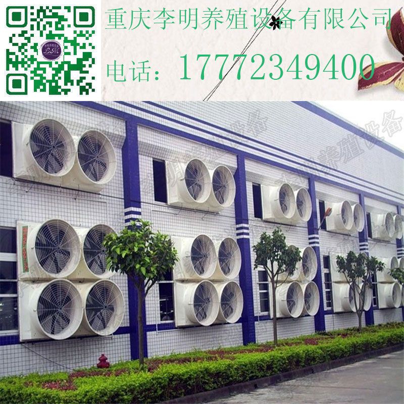 玻璃鋼風(fēng)機(jī) 養(yǎng)殖設(shè)備 負(fù)壓風(fēng)機(jī)