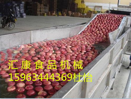 蔬菜氣泡清洗機(jī)水果鼓泡清洗機(jī)價(jià)格