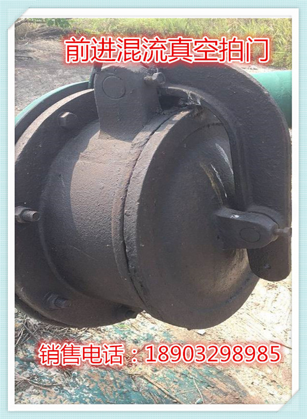 前進水工定制 前進水工定制DN60混流泵抽拍門