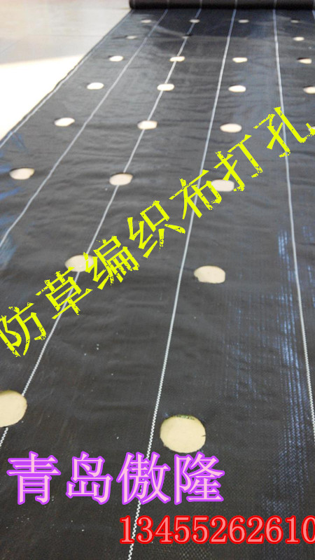 黑色防草打孔地膜