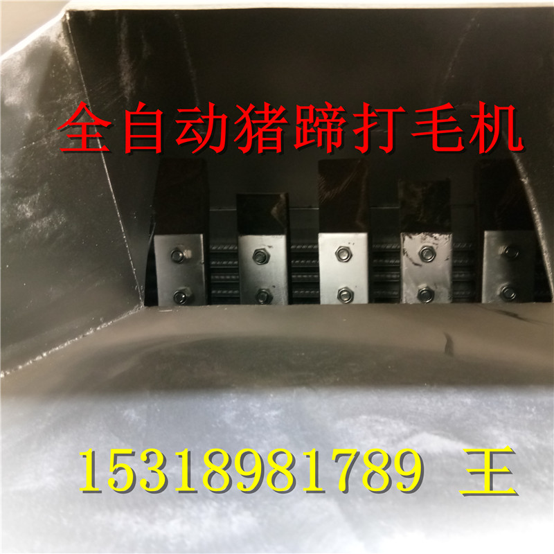 全自動(dòng)豬蹄打毛機(jī)