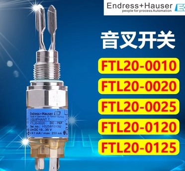 FTL20-0020   德國E+H音叉開關(guān)