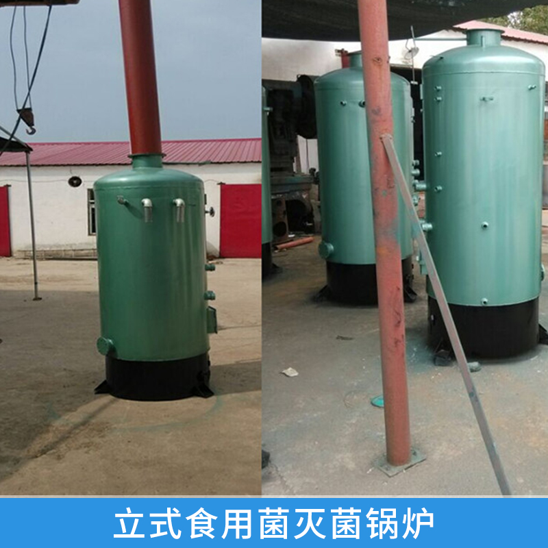 立式食用菌*鍋爐 立式常壓蒸汽* 各種*設備 廠家直銷