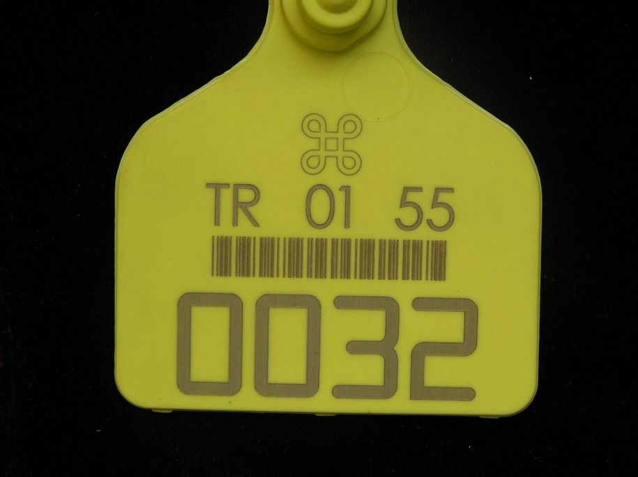 二氧化碳激光打標(biāo)機(jī)JQ-30