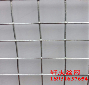 安平廠家直銷廣州篩網(wǎng)，熱鍍鋅批蕩網(wǎng)，熱鍍鋅電焊網(wǎng)，抹墻網(wǎng)