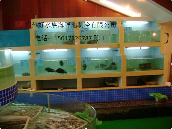 定制海鮮池|廣州海鮮池制冷公司