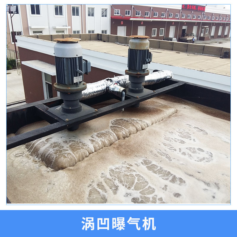 曝氣機生產(chǎn)廠家-廠家銷售-報價 曝氣機-青天環(huán)境 氣浮機 曝氣機-青天環(huán)境 氣浮機 THAF