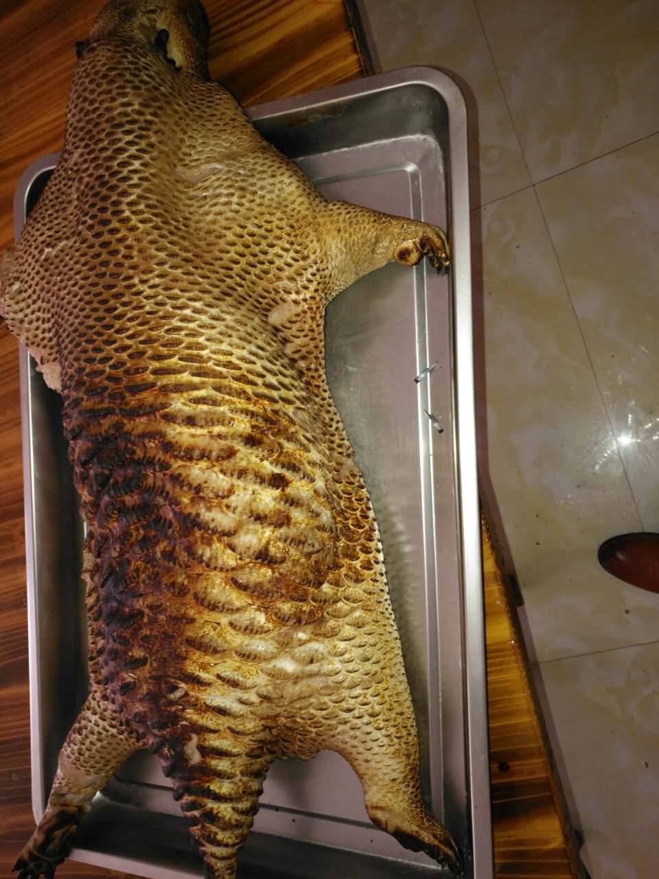 遵義*養(yǎng)殖 中華本地* *養(yǎng)殖