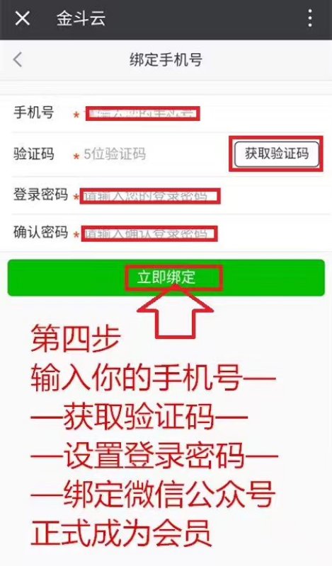 金斗云汽車違章處理APP