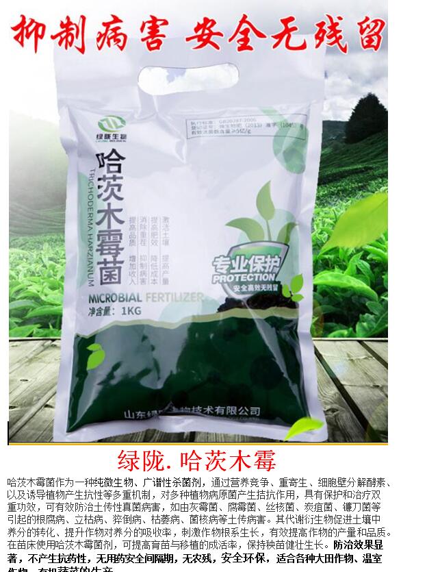 哈茨木霉菌菌番茄病害姜瘟病立枯病*病爛水稻育苗 哈茨木霉菌防治*病害