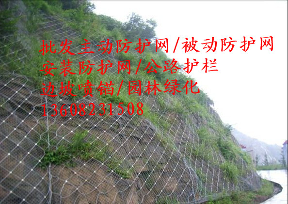 重慶SNS主動防護(hù)網(wǎng)（GPS2/SPIDER）廠家
