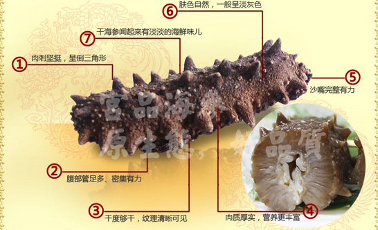 上海海參價格貴的原因