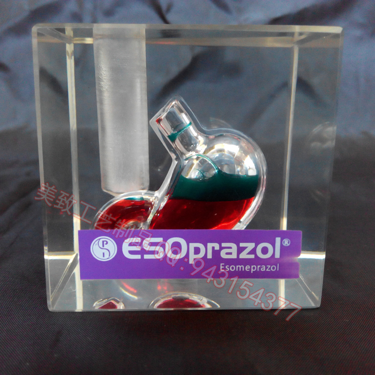 亞克力內(nèi)埋廣告紙鎮(zhèn) 水晶膠內(nèi)藏仿胃展示品