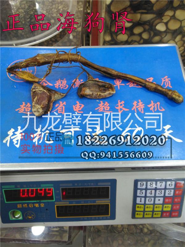 安徽海狗鞭批發(fā)@安徽海狗鞭供應(yīng)商電話@安徽海狗鞭生產(chǎn)廠家