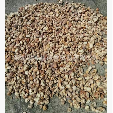 云南隱孔菌  *隱孔菌 *隱孔菌價格 *隱孔菌批發(fā) *隱孔菌廠家