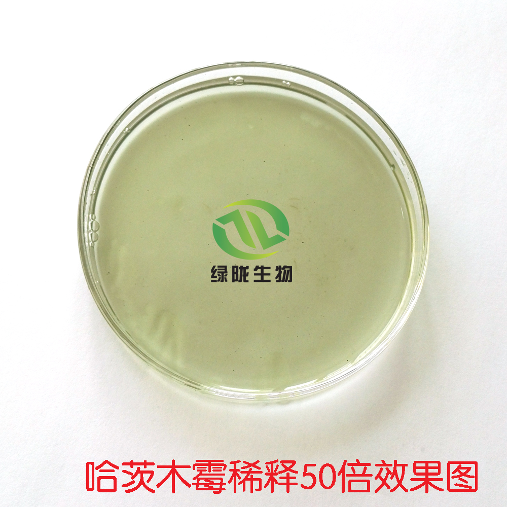 山東哈茨木霉菌價(jià)格@山東哈茨木霉菌報(bào)價(jià)@山東哈茨木霉菌廠家