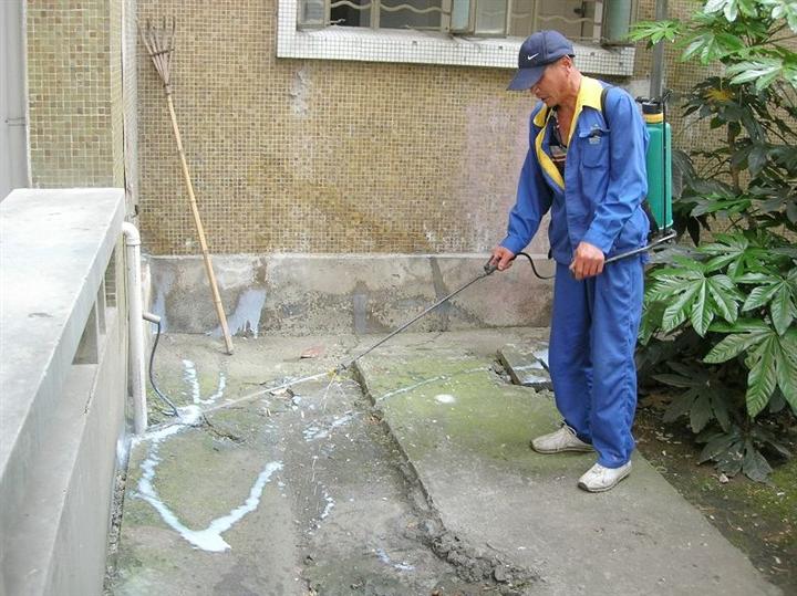 滅白蟻公司哪家好 哪里有滅蟲公司 滅蟲公司電話 滅白蟻哪家好