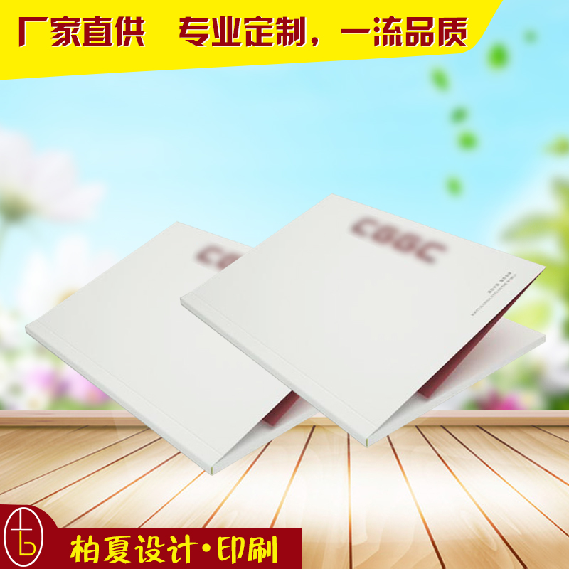 企業(yè)畫冊 產(chǎn)品目錄 彩頁設(shè)計(jì)印刷 宣傳冊設(shè)計(jì)印刷