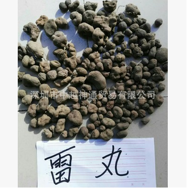 云南*雷丸 竹林子 雷實(shí) 木蓮子  *雷丸批發(fā) *雷丸價(jià)格 *雷丸廠家