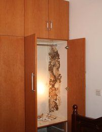 房屋裝修白蟻預(yù)防 哪里有滅蟲公司 滅蟲公司電話