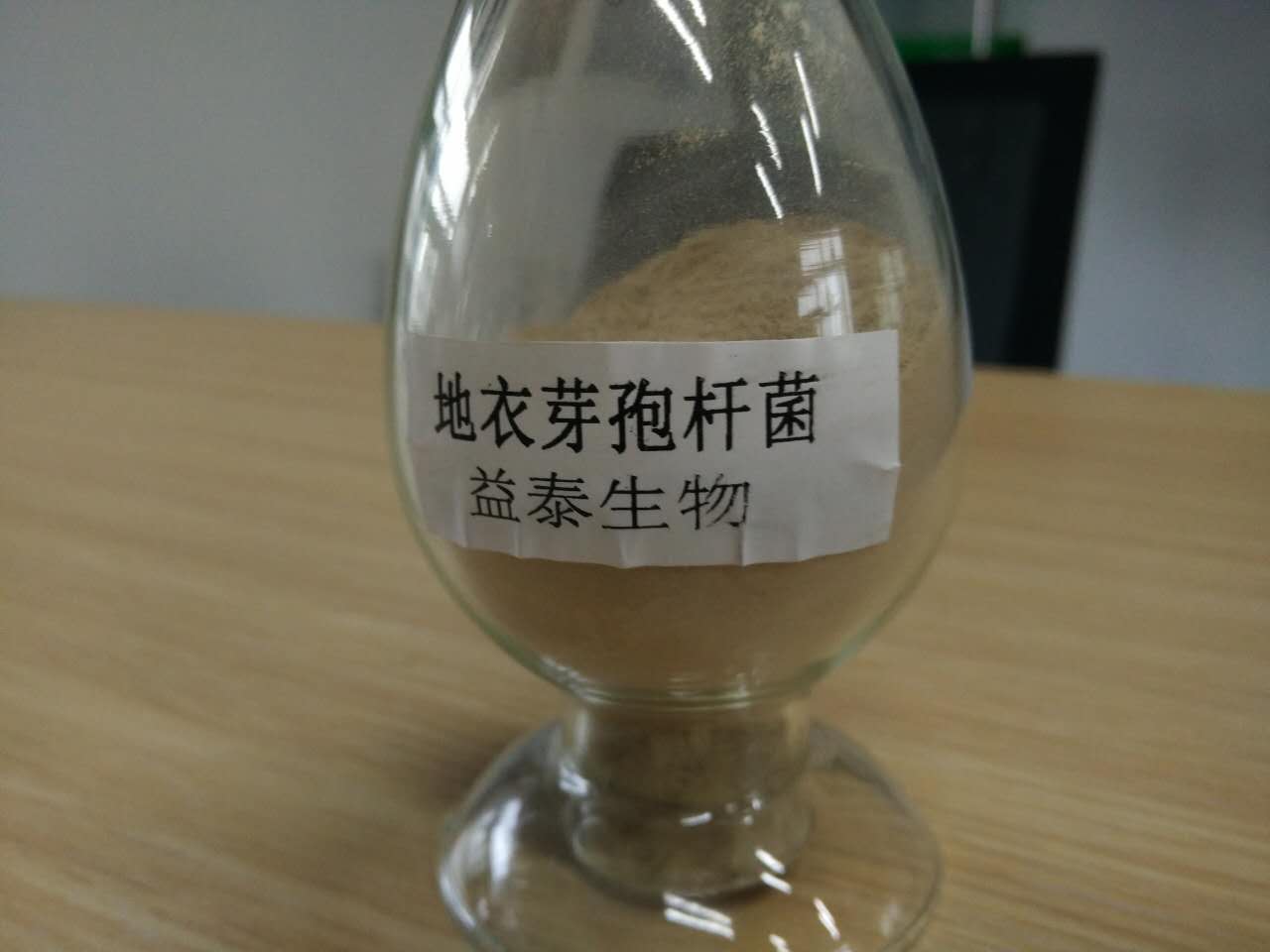 地衣芽孢桿菌，地衣芽孢桿菌200億/g