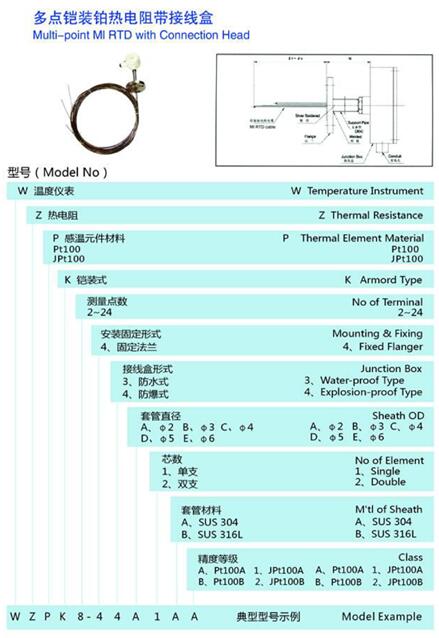 一體化多點(diǎn)熱電阻/PT100 嘉航冠科
