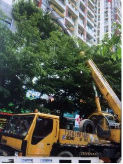 天河區(qū)吊車出租聯(lián)系電話 天河區(qū)吊車出租公司 天河區(qū)吊車出租價(jià)格