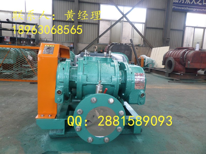 供應(yīng)長沙100羅茨風(fēng)機(jī)廠家